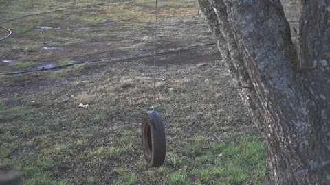 Empty tire swing hanging from tree, motionless, static Stock Footage 127898768