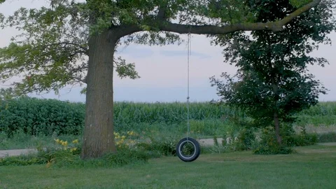 Empty Tire Swing Swinging from Large Tree in Wind Stock Footage 127074143