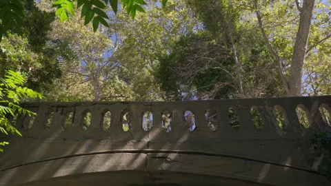 Empty Top Of Rock Bridge at a Park Stock Footage 319352197