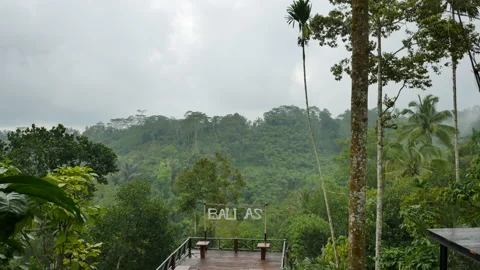 Empty tourist observation deck and scenic view at rainforest in the rain in Bali Stock Footage 196261810