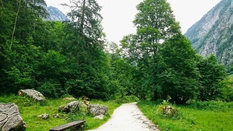 An empty trail to Obersee with grass on the side and Alps in the back on a sunny Stock Photos