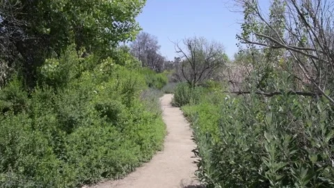 Empty trail in a park 스톡 동영상 196334996