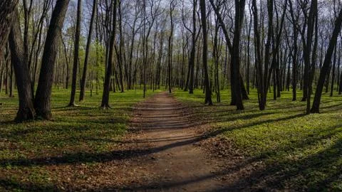Empty trail in the park Stock Photos