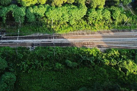 Empty train railway in a forested area. Stock Photos