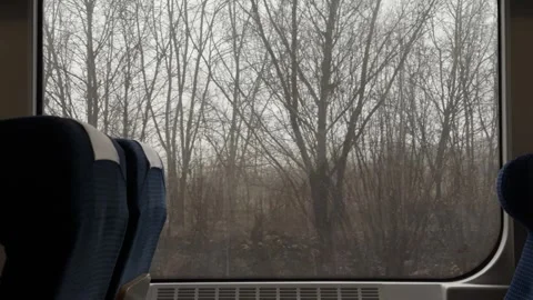 Empty train seats provide a window view of bare winter trees under a gray s.. Stock Footage 333616964