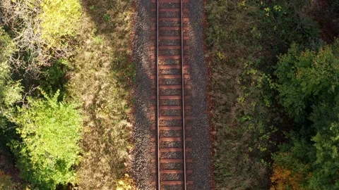 Empty train tracks in an autmn forest filmed from above in 4k Stock Footage 141845251