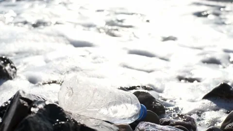 Empty transparent plastic bottle with blue cap lies on sea or ocean shore on Stock Footage 170266550