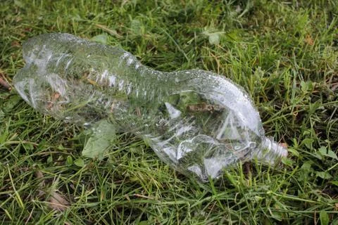 Empty transparent plastic bottle on the grass after the rain. Stock Photos