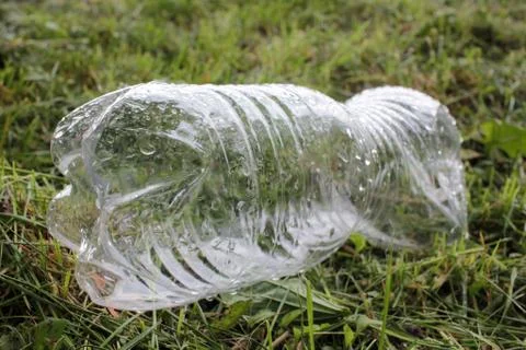 Empty transparent plastic bottle on the grass after the rain. Stock Photos