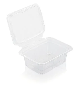 Empty transparent plastic food container Foto stock