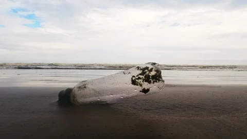 Empty transparent plastic water bottle  on the sand beach Stock Footage 301398179