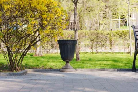 Empty trash bin in sunny park with green grass and blooming bush 库存照片