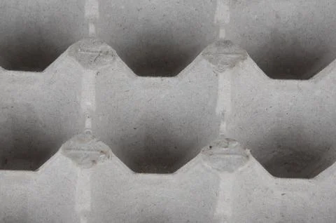 Empty tray of eggs isolated Stock Photos