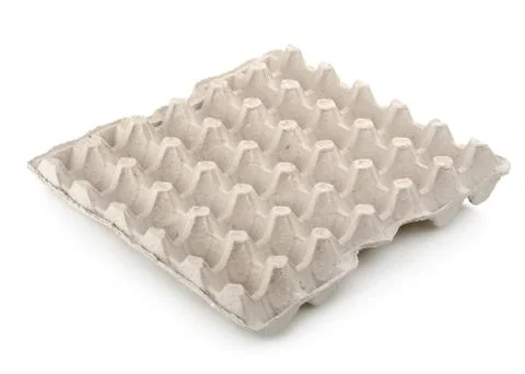 Empty tray of eggs Foto stock