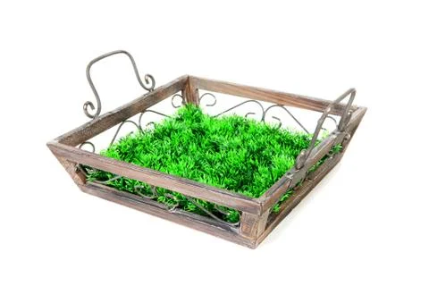Empty tray with grass Stock Photos