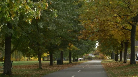 Empty Tree Covered Walking Trail in Autumn. Stock Footage 68751499