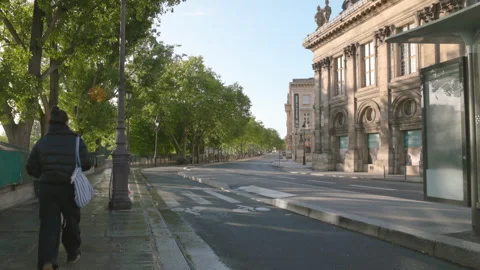 An empty tree-lined avenue along Quai de Conti Vídeo Stock 335131181