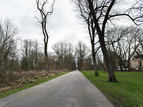 Empty tree lined path in Alexandra Park Manchester on an overcast winter af.. Stock Photos