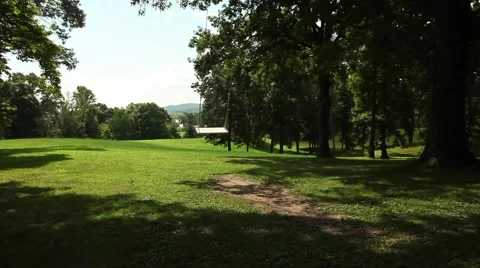 Empty Tree Swing Stock Footage 40948959
