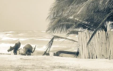 Empty tropical beach with palm trees and boats in windy Cozumel Mexico. Stock Photos