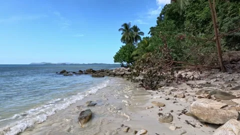 Empty tropical beach with rocky breakwaters and fallen tree in Philippines Video stock 339918407