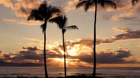 Empty Tropical Beach Scene At Sunset Video stock 120476918