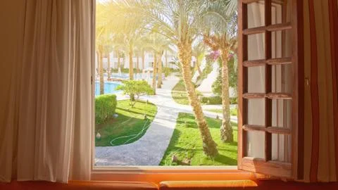 Empty tropical resort background, out of window view with palm trees, park an Stock Photos