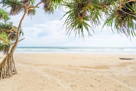 Empty tropical summer beach background Green trees leaves frame with blue sky Stock Photos