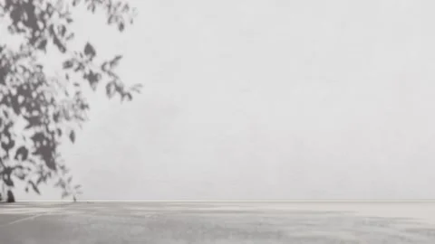 Empty tropical wall with tree shadow and sunlight. Summer concrete coastal deser Stock Footage 311021568