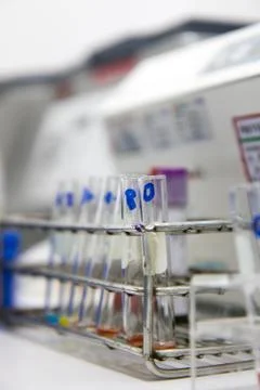 Empty tubes in a stand on table in laboratory Foto stock