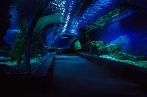 Empty underwater tunnel Foto stock
