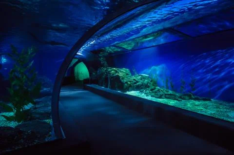 Empty underwater tunnel Stock Photos