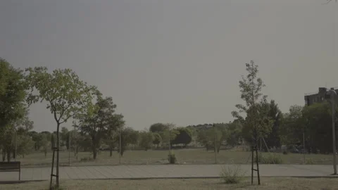 Empty urban park with trees and walking path on sunny day Vídeos de archivo 319689933