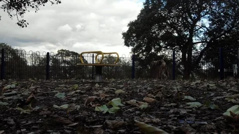 Empty urban park in winter Stock Footage 289660351