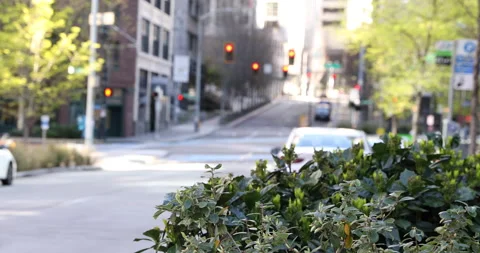 Empty urban street Stock Footage 165297842