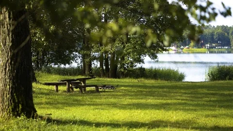 Empty vacation camp in the forest Video stock 94357507