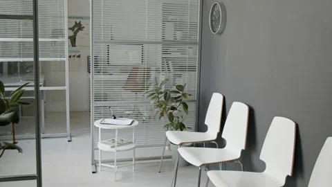 Empty Veterinary Clinic Waiting Room Featuring Chairs Stock Footage 339781725