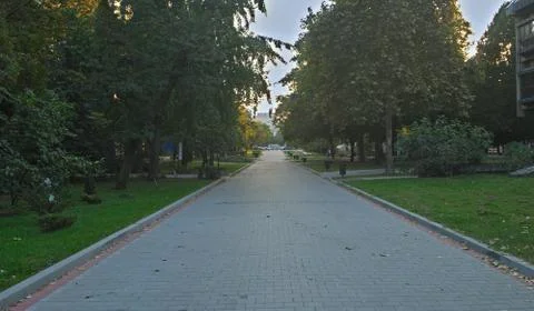 Empty walking street with trees on both sides Stock Photos