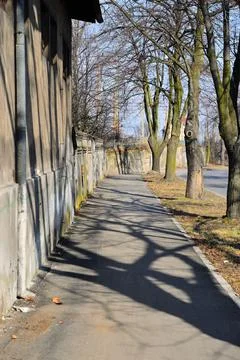 Empty walkway between trees and wall on a spring day. Stock Photos