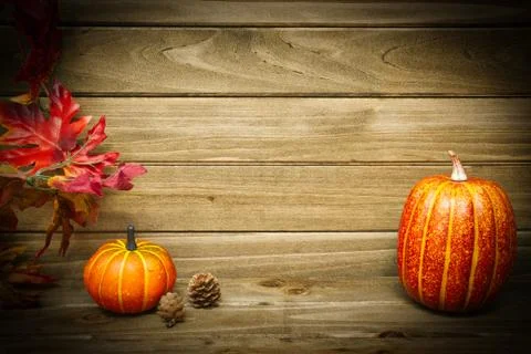 An empty wall with pumpkins. 스톡 사진