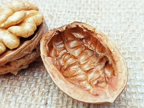 Empty walnut shell on burlap background Stock Photos