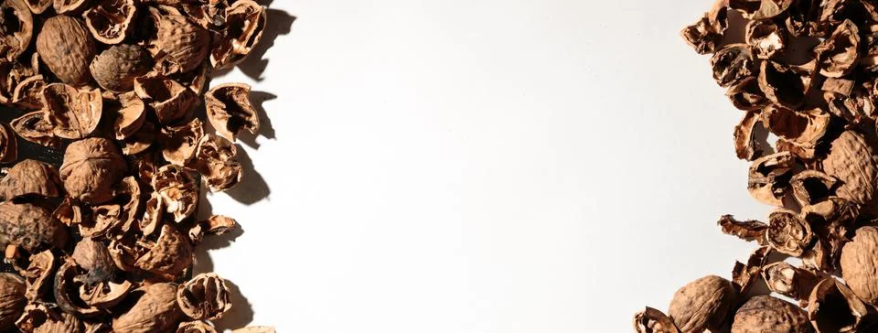 Empty walnut shell frame. Textured nut border with white place background. Bu Foto stock