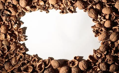 Empty walnut shell frame. Textured nut border with white place background. Bu Foto stock