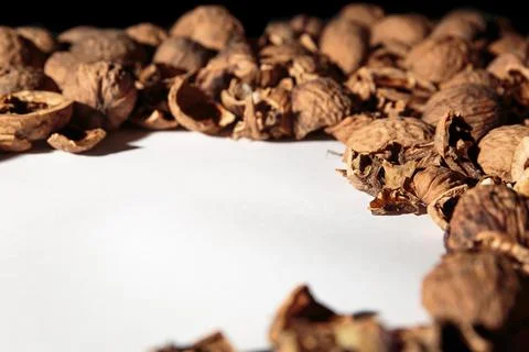 Empty walnut shell frame. Textured nut border with white place background. Bu Foto stock