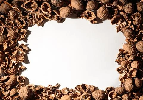 Empty walnut shell frame. Textured nut border with white place background. Bu Foto stock