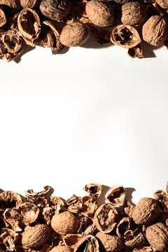 Empty walnut shell frame. Textured nut border with white place background. Bu Foto stock