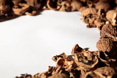 Empty walnut shell frame. Textured nut border with white place background. Bu Foto stock