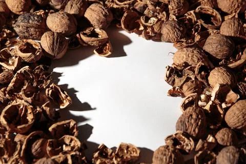 Empty walnut shell frame. Textured nut border with white place background. Bu Stock Photos