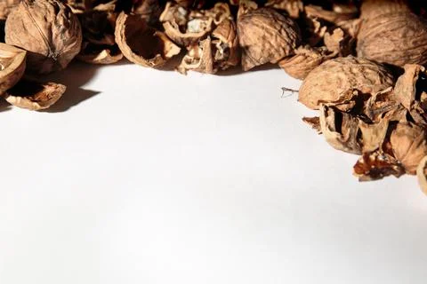 Empty walnut shell frame. Textured nut border with white place background. Bu Foto stock