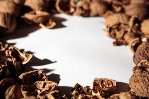 Empty walnut shell frame. Textured nut border with white place background. Bu Foto stock